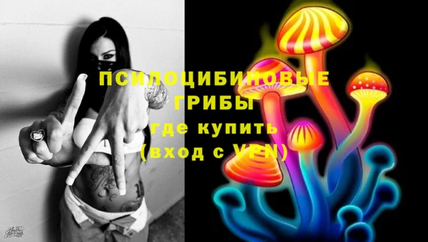 шишки Верхний Тагил