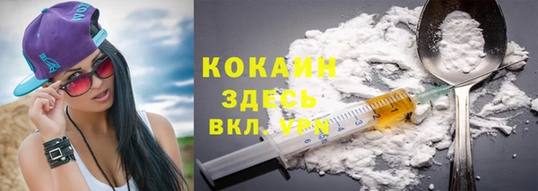 шишки Верхний Тагил
