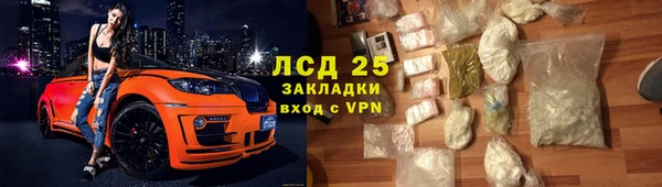шишки Верхний Тагил