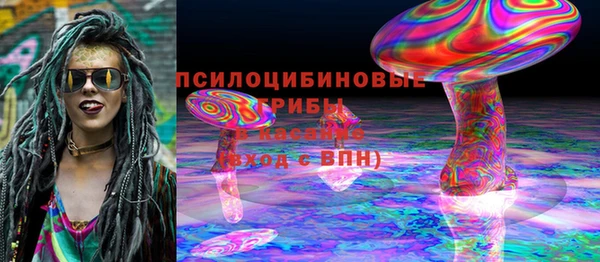шишки Верхний Тагил