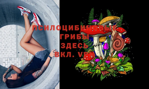 шишки Верхний Тагил