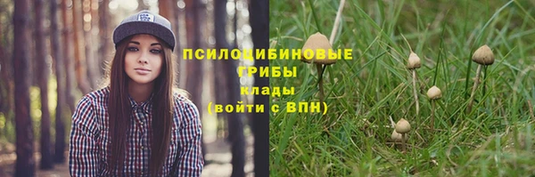 шишки Верхний Тагил