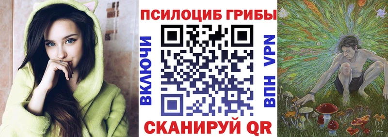 Псилоцибиновые грибы Psilocybine cubensis  наркотики  нарко площадка формула  Рузаевка 